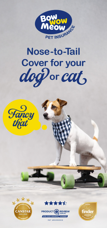Pet Insurance Brochure
