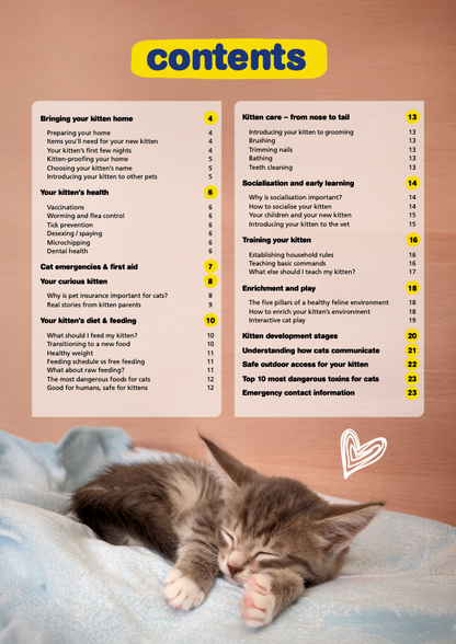 Kitten Guide