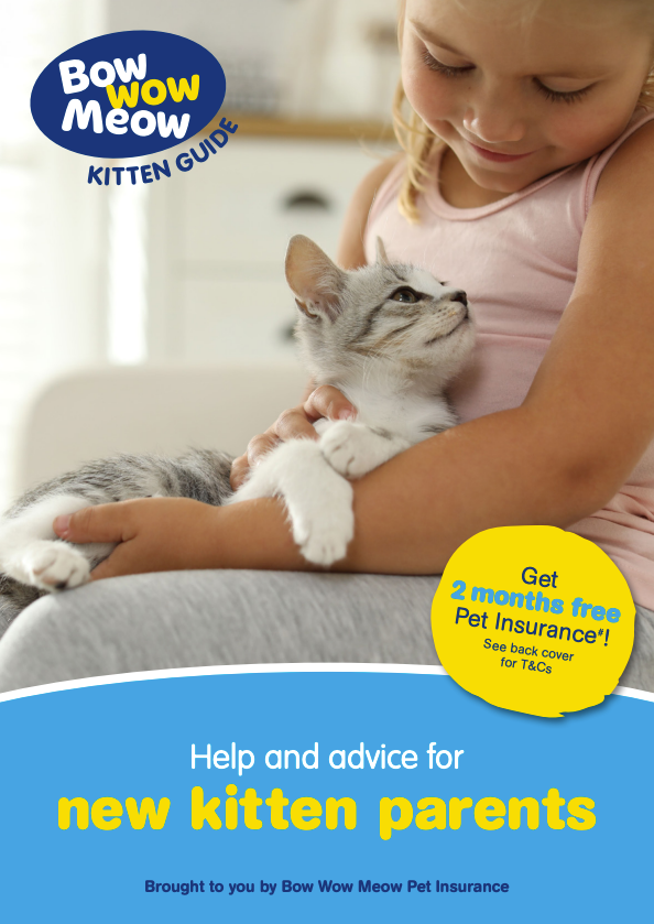 Kitten Guide