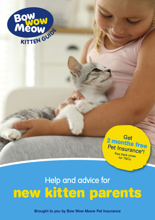 Kitten Guide