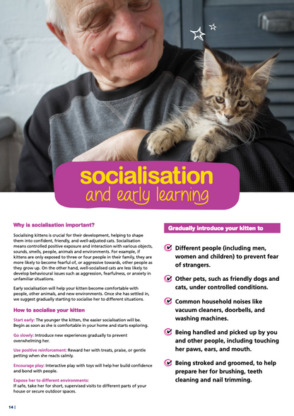 Kitten Guide