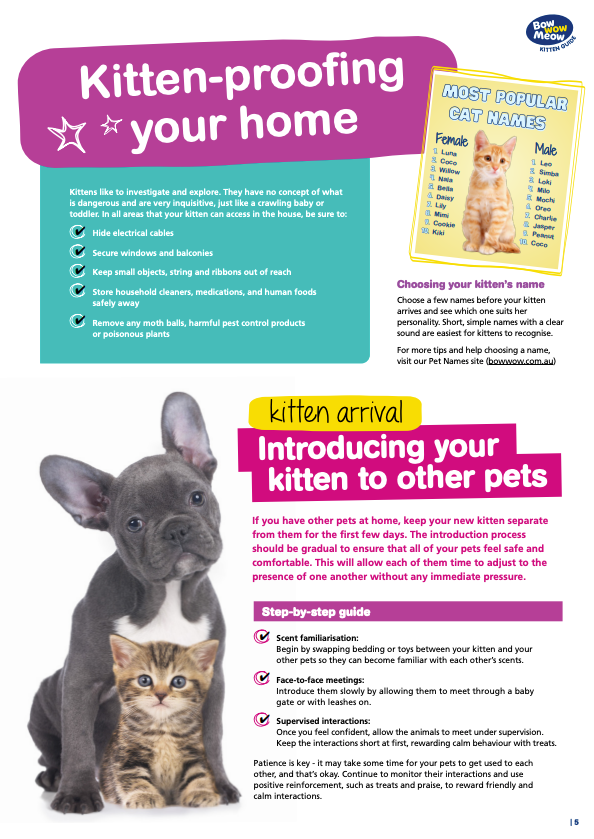 Kitten Guide