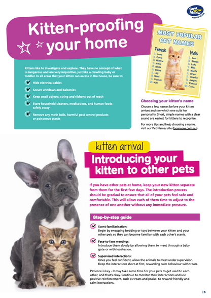 Kitten Guide