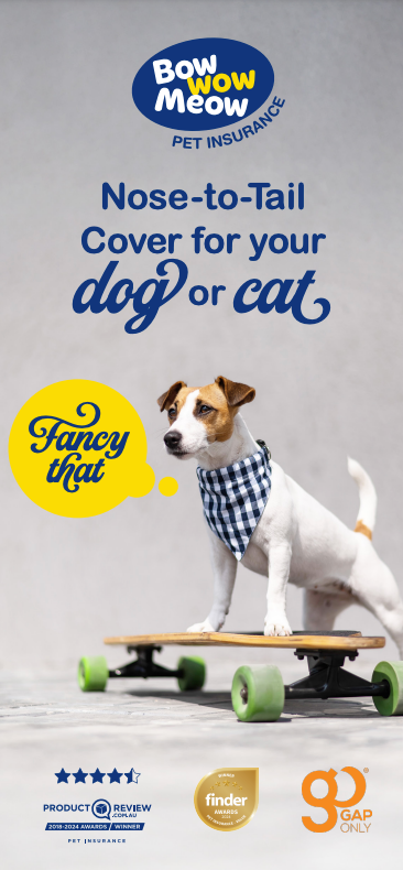 Pet Insurance Brochure